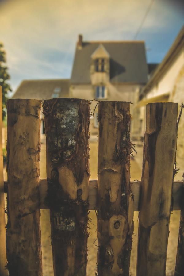 Le Petit Nancay Bed & Breakfast Thénioux Exterior photo