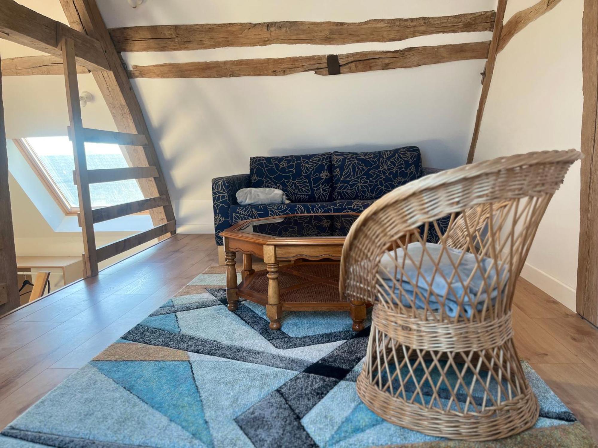 Le Petit Nancay Bed & Breakfast Thénioux Exterior photo